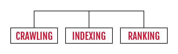 SEO - Crawling, Indexing & Ranking