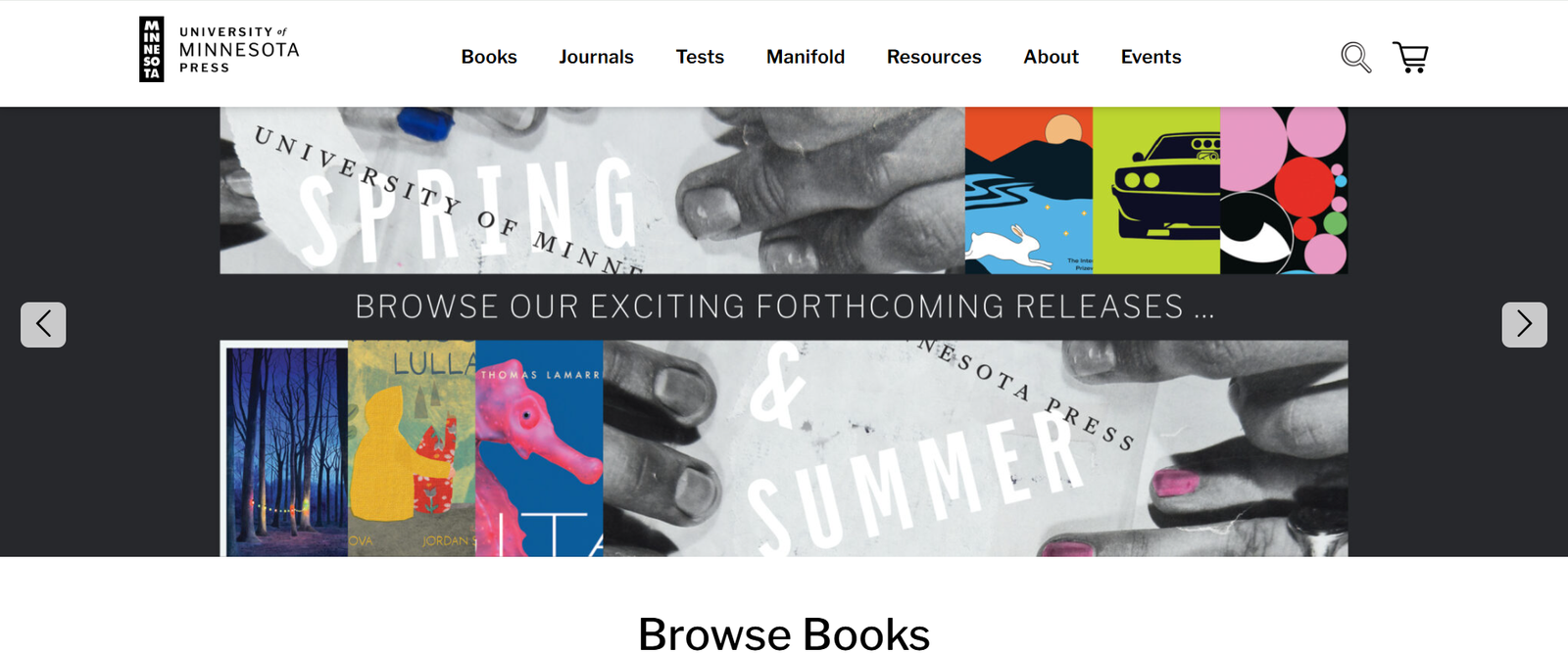 university of minnesota