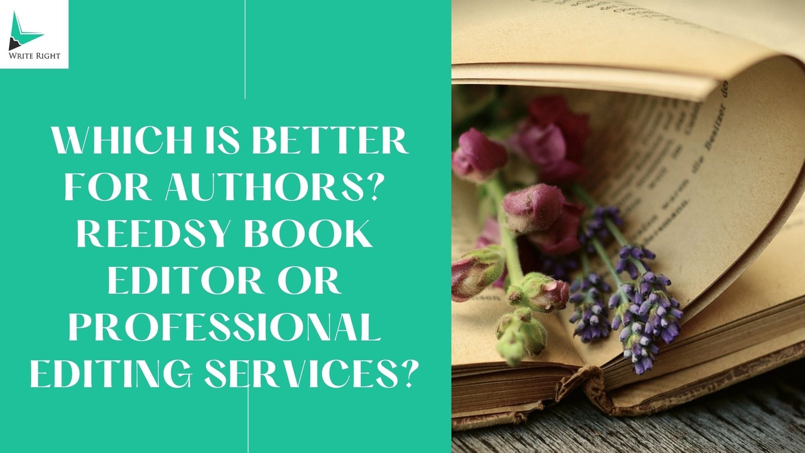 Reedsy Book Editor vs Professional Book Editors: Which Is Better for Authors?