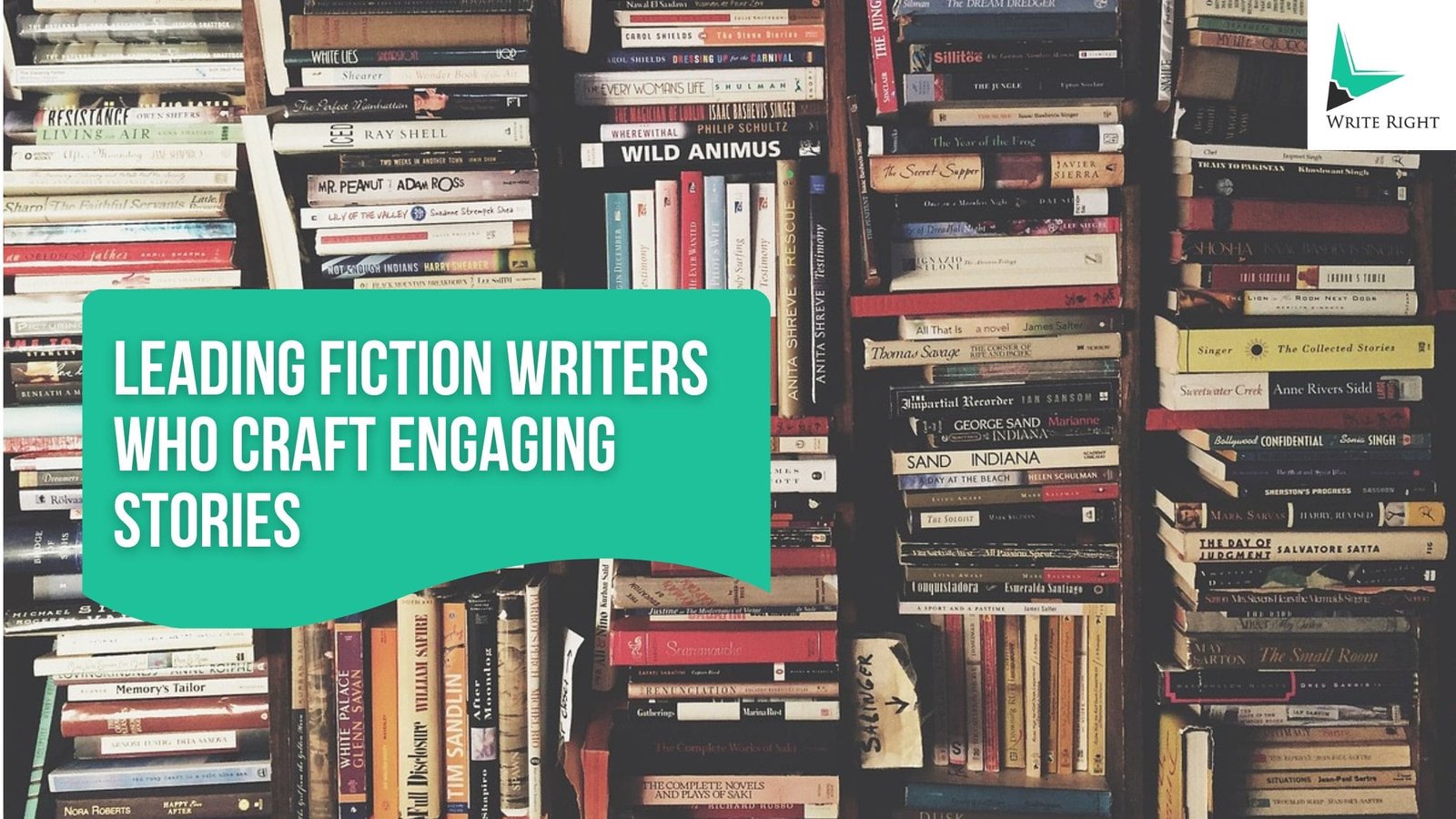 Top 10 Fiction Writers for Hire Across All Genres
