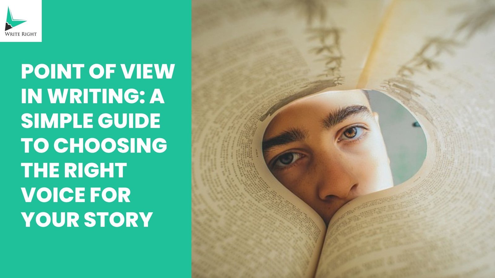 point of view in writing